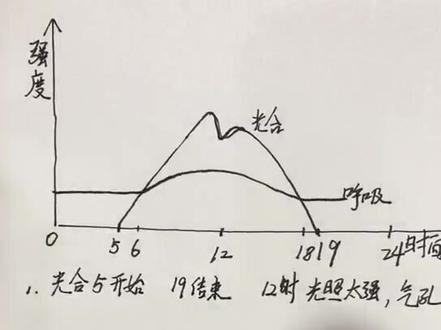 光合作用和呼吸作用强度关系曲线图及叶绿体线粒体气体进出关系简图