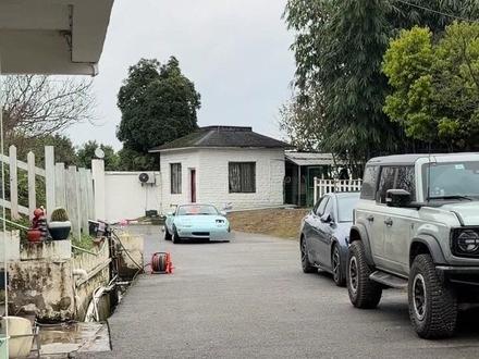 不管我给猫猫做的饭有多难吃,肥仔总能抗下所有。 #猫咪 #千猫王国 #万物可爱计划 #我和它的365件小事 #抖音热点记忆2025