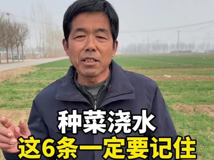 种菜浇水这6点一定要记住#种菜 #三农 #种植小技巧 #种地