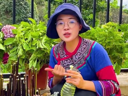 认真生活的人,总会找到无穷的乐趣!换下来的旧轮胎不要扔,变废为宝给自己打造给多肉小花园吧!记得点赞收藏一起做#多肉植物 #我的多肉花园 #三农 #我的农村生活