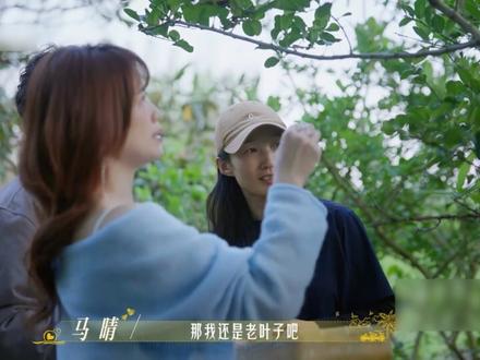 全员修罗场!马晴脚踩两船撩罗飞,Ken叔避刘玫如避蛇蝎 #日落时分说爱你 #黄昏恋 #恋综