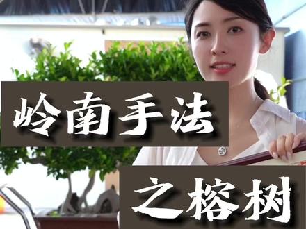 #榕树#榕树盆景#盆景艺术 #盆景#岭南手法 我没想到我真的能让他重现2018年,好震撼