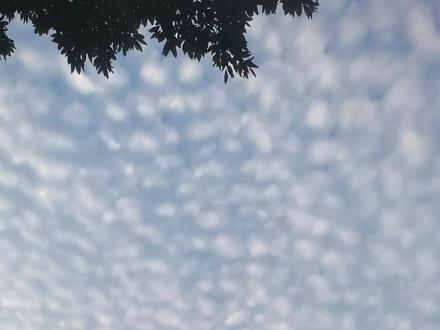 听说这是地震云,一般出现在地震前后,深圳不是要地震了吧#