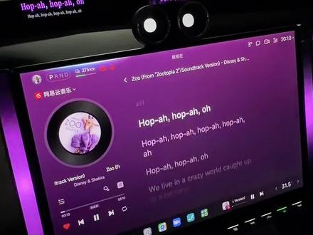 关于小米汽车如何设置噜噜大王驾到教程来啦#水豚噜噜跳舞 #水豚噜噜 #噜噜 #小米超级任务