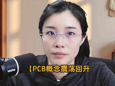 PCB概念震荡回升 宝鼎科技触及涨停续创历史新高 #财经知识