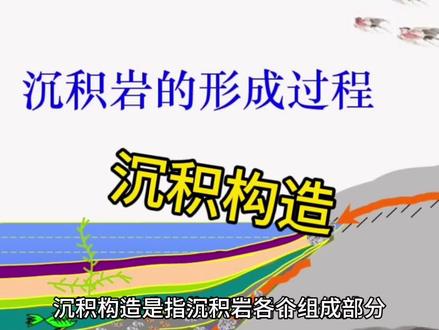 野外如何识别沉积构造 #探索地球 #地球