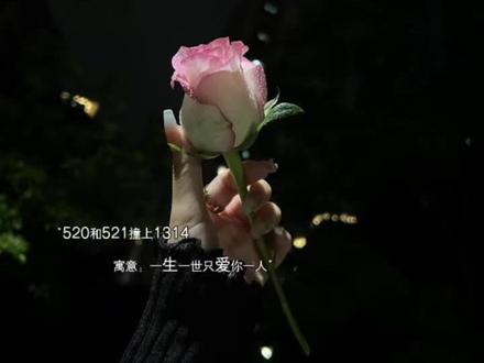 “520和521撞上1314
寓意:一生一世只爱你一人”