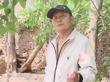 后比特时代!对狗的牙口!速度!硬度有更高的要求