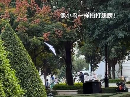 柯南你简直是物理天才!!现在不仅仅是数学天才了!
#名侦探柯南 #跟着柯南折蝙蝠纸飞机 #跟着柯南做实验 #柯南 #物理