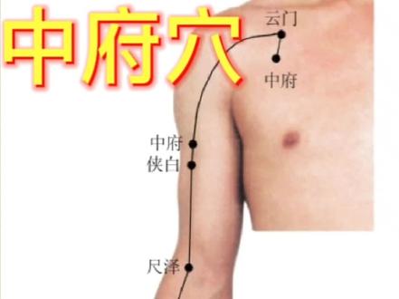 经络穴位(第2集)中府穴 #中医养生