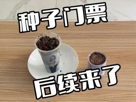 原神FES种子门票后续来啦!#原神枫丹 #原神fes #种子门票