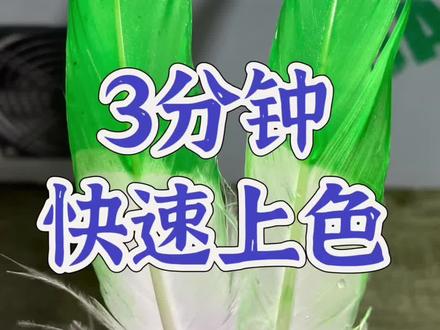 羽毛染料,三分钟快速上色#染色 #羽毛