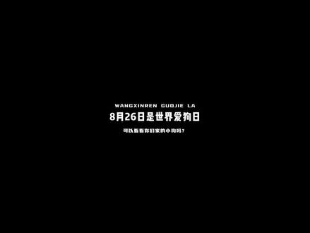 8月26日世界爱狗日,也可以称为“国际汪星节”。