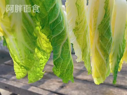 晒白菜干,这样做比新鲜白菜还好吃,冬天炖肉超香,棒棒哒