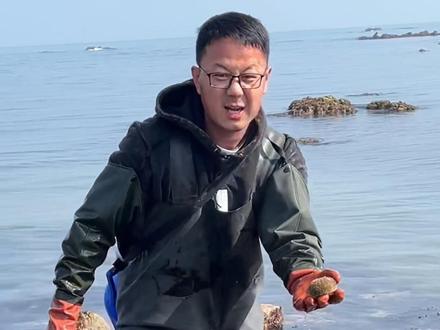 小麦岛溜一圈,海参,鲍鱼,冻菜,海胆,三小时的收获满满#赶海 #大海的馈赠 #赶海人