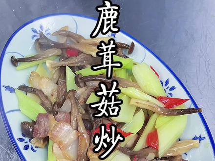 蘑菇的家常做法怎么炒 6c180b81a199d7e00b2d3bf91491ecb8~tplv-dy-resize-origshort-autoq-75:330.jpeg?x-expires=2021313600&x-signature=nXW7BwtXzkdF5KeEGsst8fhQey4%3D&from=3213915784&s=PackSourceEnum_AWEME_DETAIL&se=false&sc=cover&biz_tag=pcweb_cover&l=202401230440469D7949DD1897202F6A23