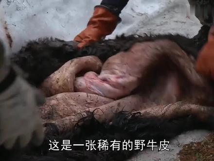 173 山地硬汉:鞣制野牛皮,制作平底船