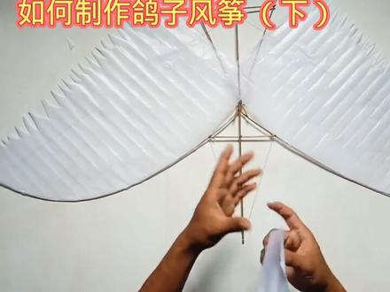 如何制作鸽子风筝 (下) ##动手能力 #动手制作 #创意diy #科学实验 #折纸教程 #科技小制作