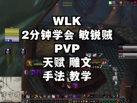 魔兽世界巫妖王之怒WLK 3.4敏锐贼PVP天赋雕文手法教学 #魔兽世界