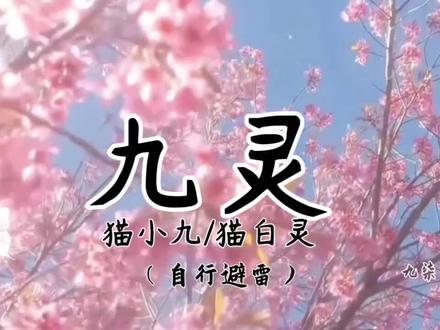 #猫小九历险记 #九灵
嗯对,这段在书里被删除了
可恶的小七