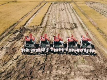 税绘好丰景(短视频大赛作品)