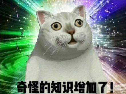 Jk和DK到底是什么?#JK #jk制服 #DK