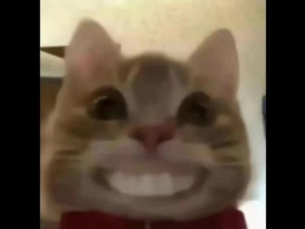 #三角洲行动 #三角洲跑刀 绝密普坝yyds