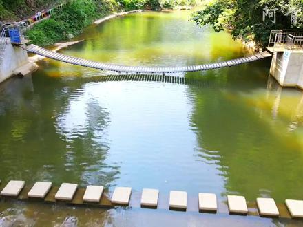 在苍梧县狮寨镇横石村发现了一个神仙地方—仙隐溪谷.…夏日炎炎避暑好去处,清澈见底的溪水,快去打卡吧……#出游这回正了 #游泳 #小溪流水 #避暑胜地