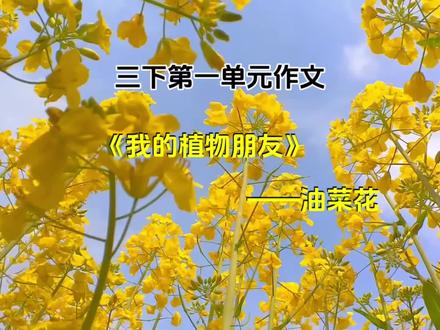三下语文语文 | 第一单元《我也植物朋友》范文,让文字更生动的动画#家长收藏孩子受益 #小学语文 #作文