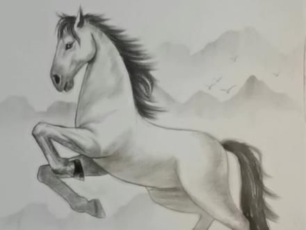 没有什么是一个圆形解决不了的,如果有就多画几个#画画 #绘画 #素描动物 #一起学画画 @DOU+小助手