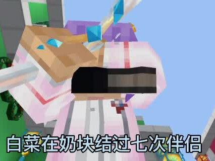 关于白菜在奶块的七次伴侣#奶块 #沙盒游戏 #游戏 #白菜日常
