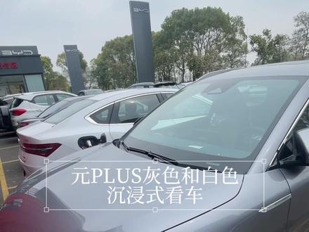 #元plus 灰色白色沉浸式看车,你更喜欢哪个颜色?