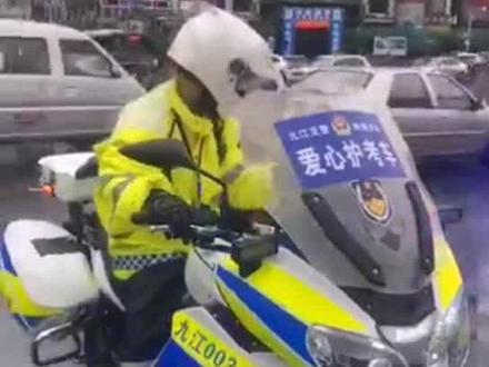 孩子,你先考试,蜀黍没事。#高考护航 #2020高考直击