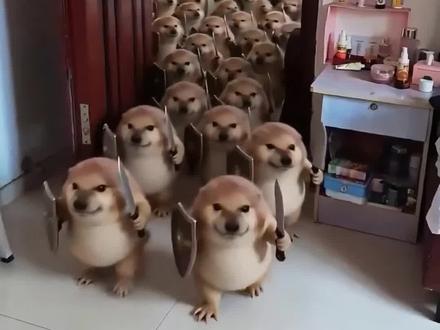 AI刀盾大军制作教程 ,刀盾狗特效制作教程,谁还没只刀盾狗啊,我的刀盾大军ai制作教程来啦!#谁还没只刀盾狗 #我的刀盾 #比比拉布 #我的刀盾狗 #剪映 谁还没只刀盾狗 我的刀盾狗 我的刀盾 刀盾狗 AI刀盾狗 刀盾狗表情包 我的刀盾特效 刀盾狗整活 刀盾狗教程 刀盾狗模板 刀盾狗变身 刀盾狗搞笑 刀盾狗二创 刀盾狗特效 刀盾狗入侵 刀盾狗大战 刀盾狗军团 比比拉布 我的刀盾教程 我的刀盾模板 我的刀盾表情包 我的刀盾原视频 我的刀盾大战 我的刀盾dj 我的刀盾大军 AI我的刀盾大军 我的刀盾大军特效 我的刀盾大军教程 我的刀盾大军模板 我的刀盾大军小狗 我的刀盾大军奶龙 我的刀盾大军表情包 我的刀盾大军原视频 我的刀盾大军入侵 我的刀盾大军dj 比比拉布我的刀盾