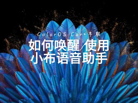 【ColorOS Car+车联】如何唤醒使用小布语音助手 @ColorOS