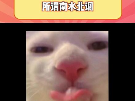 原来这就是南水北调#看一遍笑一遍 #南水北调