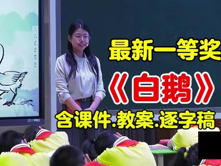 最新一等奖《白鹅》公开课【含上课视频.ppt课件.教案.逐字稿】四年级语文下册(新课标任务群优质课)小学语文示范课(名师教学视频)试讲#白鹅课件#白鹅公开课#新课标#白鹅#四年级语文