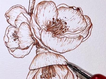 分享100幅画,第2幅#钢笔淡彩 @DOU+小助手