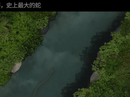 泰坦巨蟒,史上最大的蛇 它是一个古老的奇迹,其存在和消失仍然令人着迷。#知识前沿派对 #青少年课外知识讲堂 #泰坦巨蟒 #蛇 #涨知识