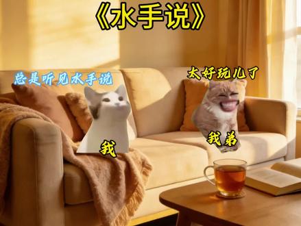 《水手说》
#猫meme #拼好歌 #水手 音频:@阿卡大文