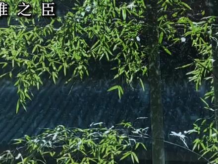 二哥要下葬的前一天晚上大哥在二哥的棺材里陪了他一夜…这对太意难平了😭#恣睢之臣 #广播剧 #耽 #唐酒卿 #意难平