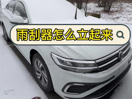 雨刮器怎么立起来 雨刮器被冻住,强制启动很可能损坏雨刮器电机#汽车知识分享#每天一个汽车知识#雨刮器#带你懂车