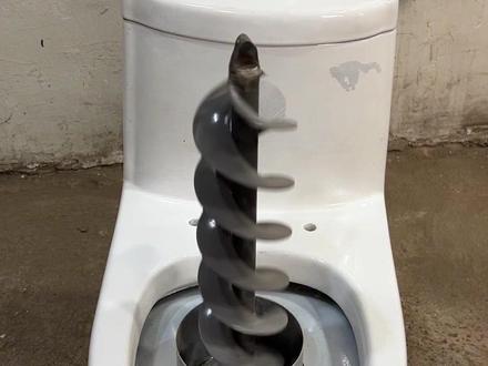 通顺肠道辅助马桶 设计非常的银杏