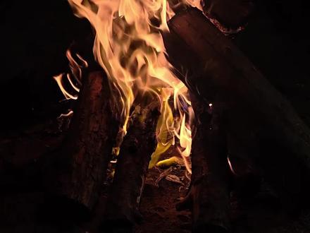 深夜燃烧的篝火 #助眠 #篝火 #火堆 #深夜 #人间烟火