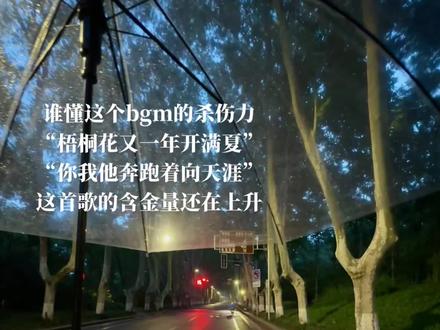 我想要的很简单 安稳的生活 幸福的陪伴 如遇一人诚心待我#歌曲梧桐花