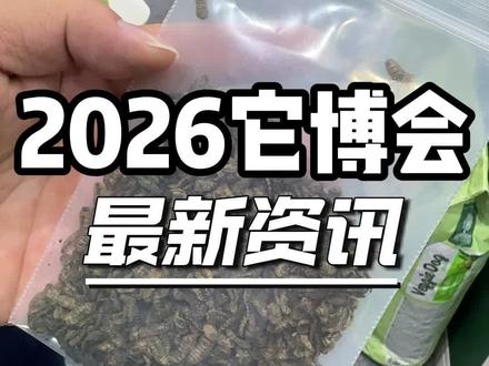 2026年它博会,有点没意思 #宠物线下活动 #它博会