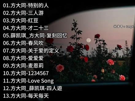 爱爱爱歌词方大-抖音