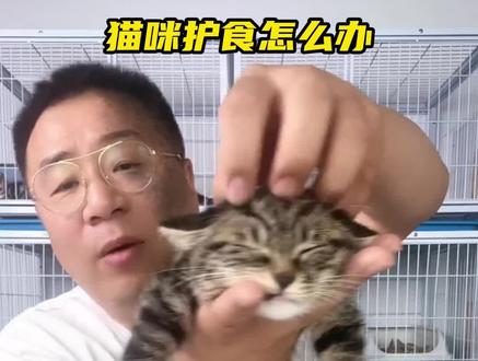 猫咪护食?多吃几次就好啦! #猫咪 #科学养宠攻略