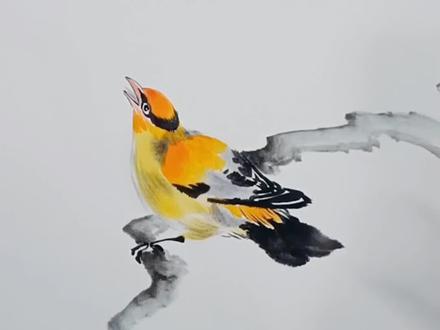 笔跟藤黄,笔尖橘黄,一分钟带你学会画国画黄雀,你学会了么#国画教程 #花鸟画#跟我一起学画画 #国画教学