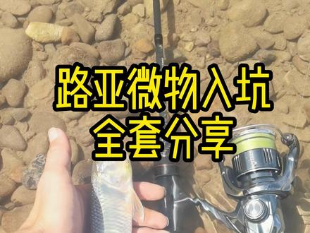 新手入坑路亚微物从装备到绑线实操全套分享 #路亚微物 #新手路亚